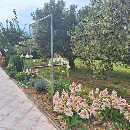 Apartments Donadic I, Caska Novalja Bagian luar foto